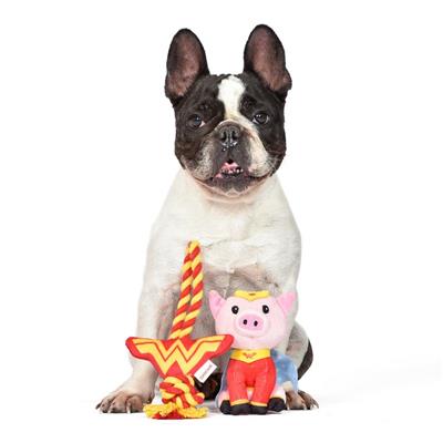 DC Comics: Super Pets 6" PB Plush Figure and Wonder Woman Logo Rope Pet Toy Set