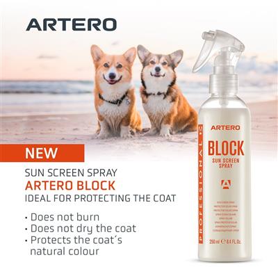 Block Sunscreen Hair Spray by Artero
