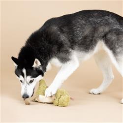Extra Product Image