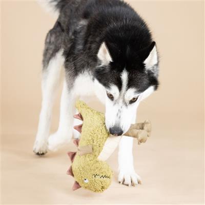 Small Arms, Big Heart Earth Friendly Dog Toy