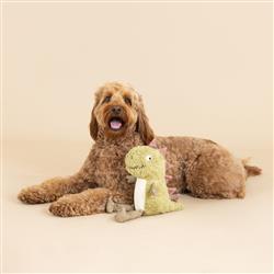 Extra Product Image