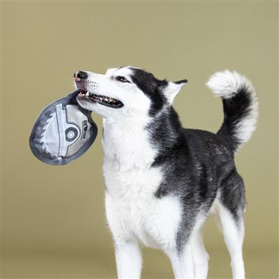 WATCH YOUR FINGERS DURABLE PLUSH DOG TOY