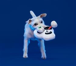 Extra Product Image