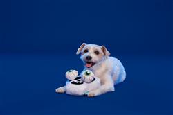 Extra Product Image