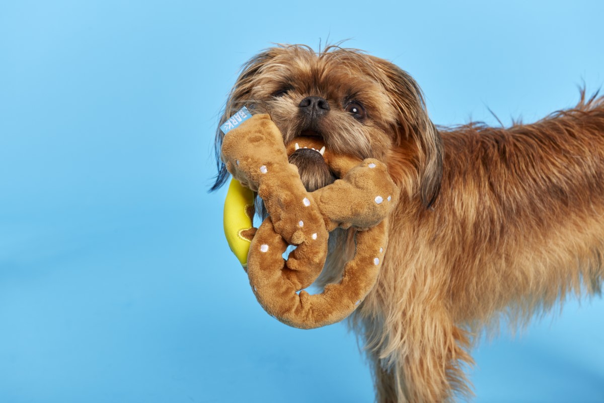 BARK Pupper Pretzel