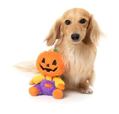 FuzzYard Dog Toy JackO Chan L