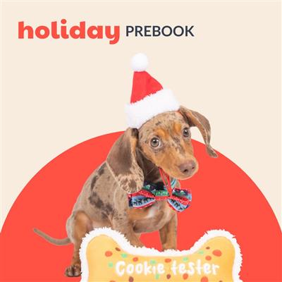 Holiday - ORDER HERE