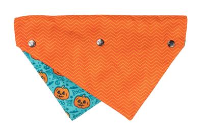 Bandana Jack Jack Jackie Lantern Teal
