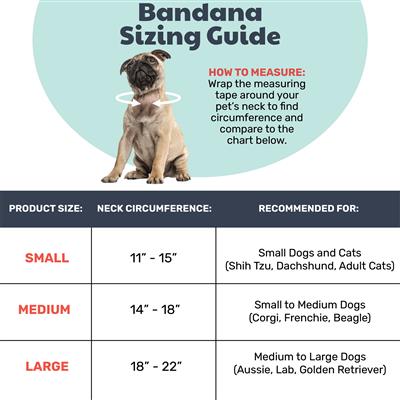 Chicks & Eggs Bandana