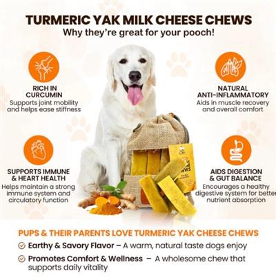 Turmeric Yak Milk Chews - Large Sized 5 Pound Display Boxes