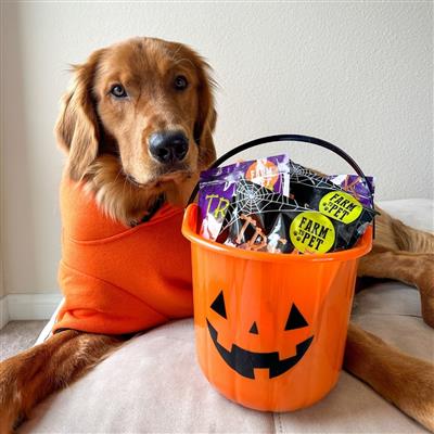 Halloween Dog Treat Chicken & Turkey Snack Pack Bundle (24 pack)