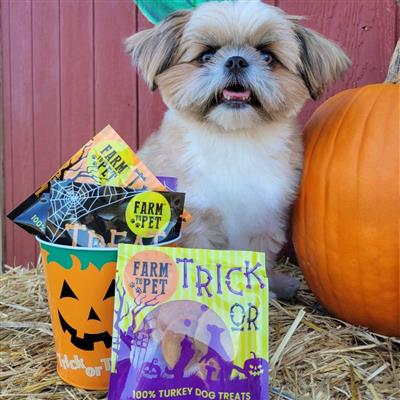 Halloween Dog Treat Chicken & Turkey Snack Pack Bundle (24 pack)