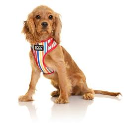 Neoflex Soft Dog Harness - SCOOBY