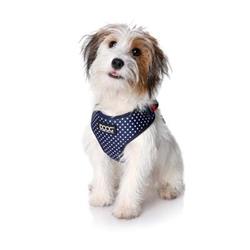 Neoflex Soft Dog Harness - STELLA