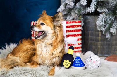 Pearhead Happy Chew Year Set