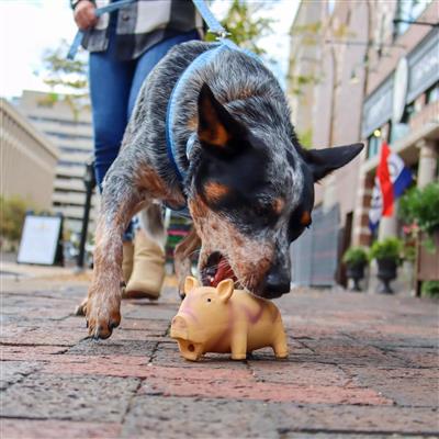 Coastal Pet Rascal Grunt Toys Big Ear Donkey 7"
