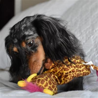 Coastal Pet Li'l Pals Plush Crinkle Dog Toy Monkey 8.5"