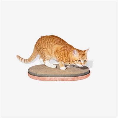 Citrus | Cat Scratcher