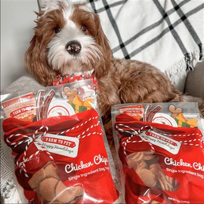 Holiday Chicken Chips 12 oz. from Farm to Pet