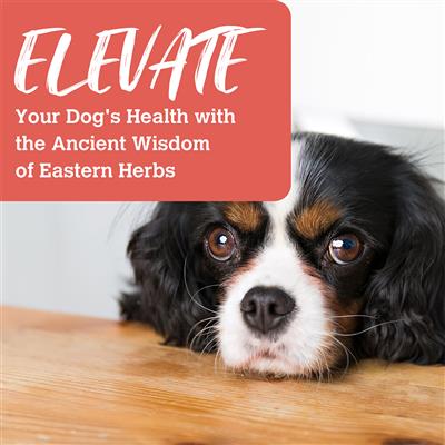 5.2 oz. Pouch, Beef & Duck Enrichment Recipe - When East Meets West Herbal Dog Food