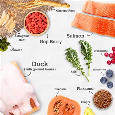 5.2 oz. Pouch, Salmon & Duck Harmony Recipe - When East Meets West Herbal Dog Food
