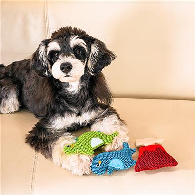 Dinosaur Land – Dino Buds