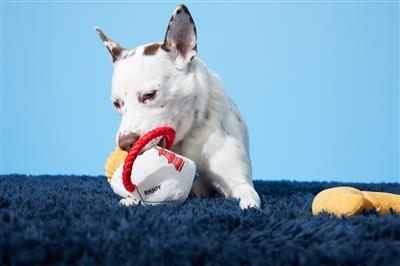 BARK Chew Mein & Furtune Cookie