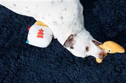 Extra Product Image