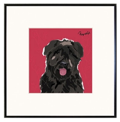 Framed Print: Bouvier