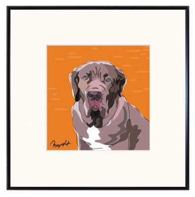 Framed Print: Mastiff