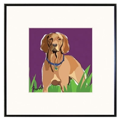 Framed Print: Vizsla