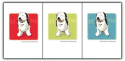 Old English Sheepdog Sitting - Grrreen Boxed Note Cards