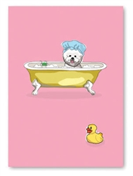Birthday: Bichon in Bath Tub