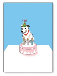 Happy Birthday: Russell W/ B-day Hat