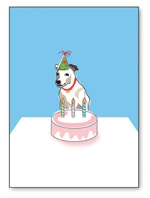 Happy Birthday: Russell W/ B-day Hat