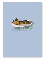 Sympathy: Yorkie in Bed
