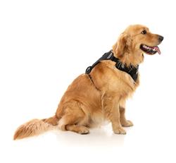 FY Active Go Harness - Black