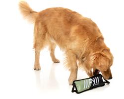 Extra Product Image