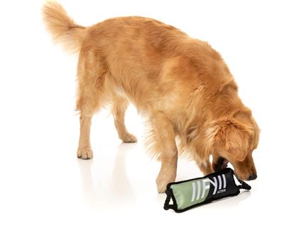 FY Active Dog Toy - Rope Tug