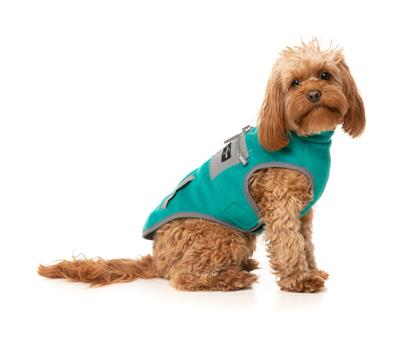 Fitzroy Jacket - Green