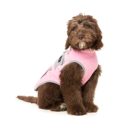 Fitzroy Jacket - Pink