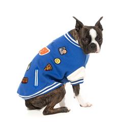 The Letterman Jacket - Blue