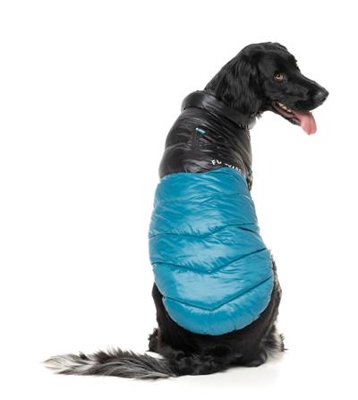 South Harlem Jacket - Marine