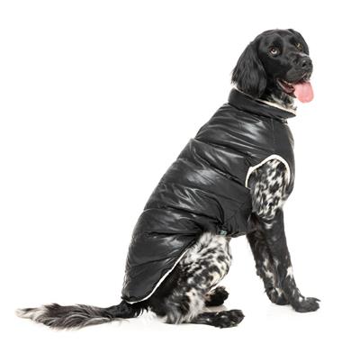 Milano Jacket - Black