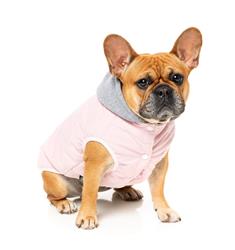 Cremorne Hoodie - Pink