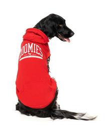 Zoomies Hoodie - Red