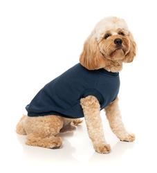 Allday Sweater - Navy