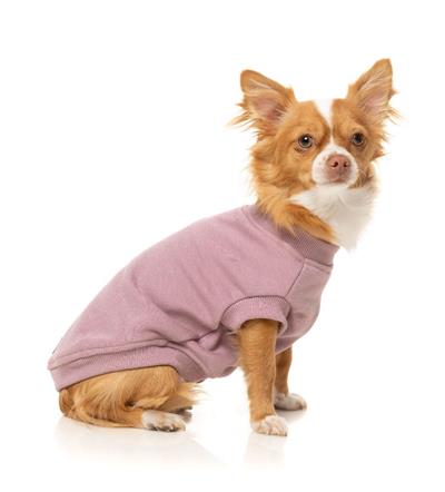 Allday Sweater - Purple