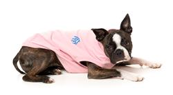 Rock It Sweater - Pink