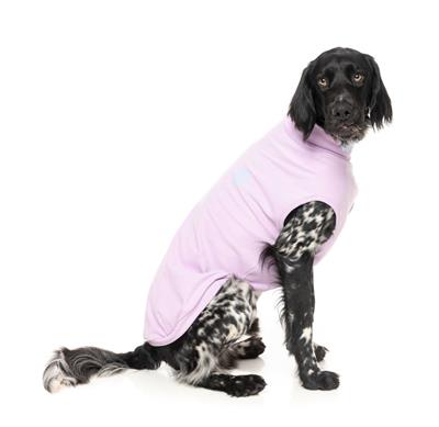 Rock It Sweater - Lilac